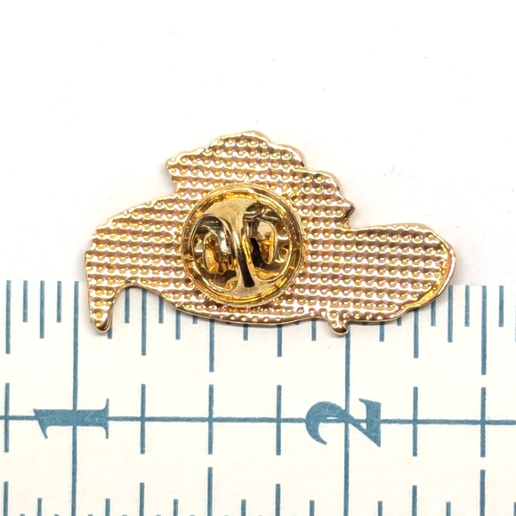 Raven & Roses Pin - Picture 2 of 4